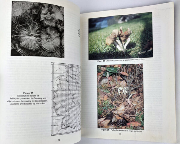 Magic Mushrooms Around the World: A Scientific Journey Across Cultures and Time - Image 5