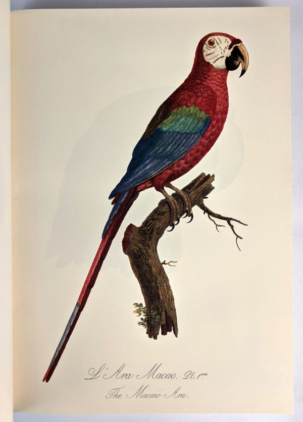 Natural History of Parrots (Histoire Naturelle des Perroquets) - Image 2