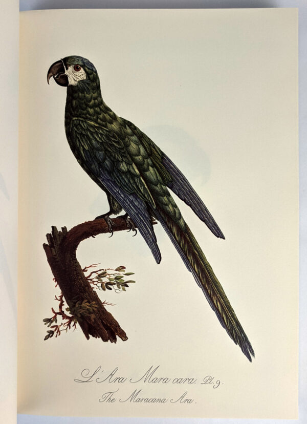 Natural History of Parrots (Histoire Naturelle des Perroquets) - Image 3