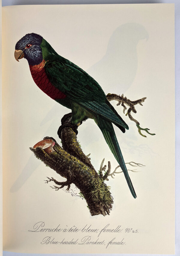 Natural History of Parrots (Histoire Naturelle des Perroquets) - Image 4
