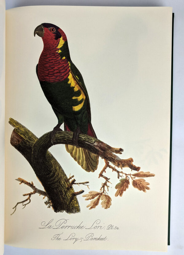 Natural History of Parrots (Histoire Naturelle des Perroquets) - Image 5