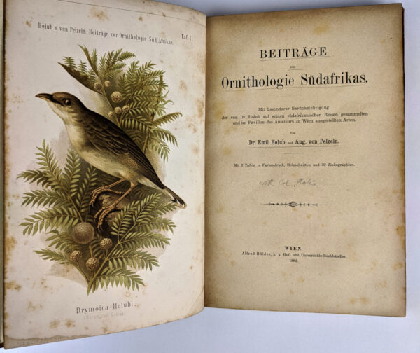 Beitrage zur Ornithologie Sudafrikas - Image 2
