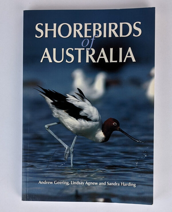 Shorebirds of Australia