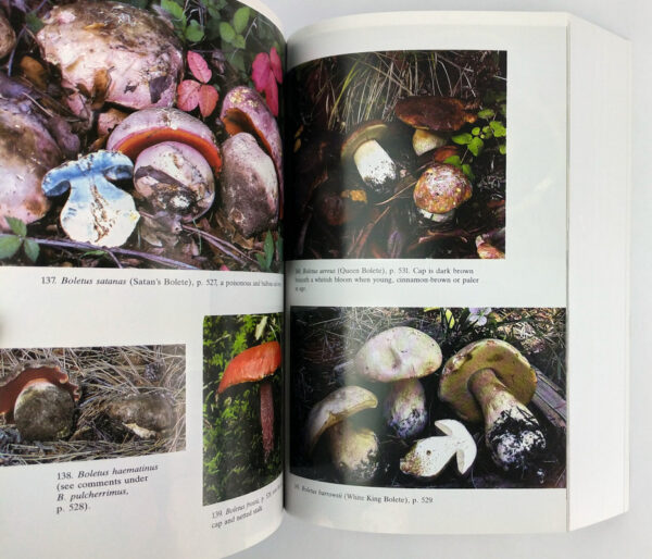 Mushrooms Demystified: A Comprehensive Guide to the Fleshy Fungi - Image 5
