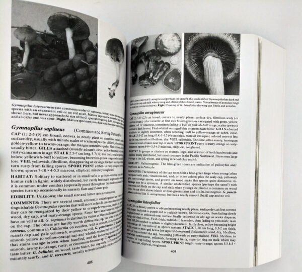 Mushrooms Demystified: A Comprehensive Guide to the Fleshy Fungi - Image 6