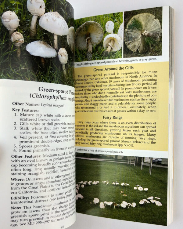 All That the Rain Promises and More... A Hip Pocket Guide to Western Mushrooms - Image 3