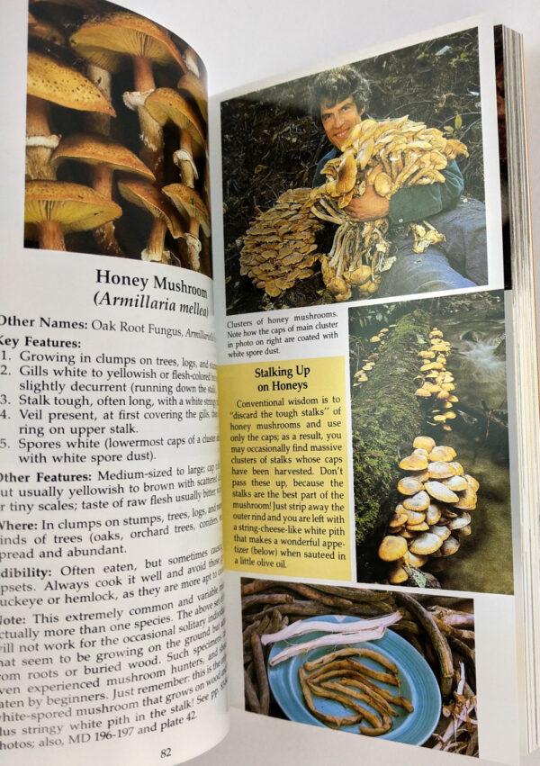 All That the Rain Promises and More... A Hip Pocket Guide to Western Mushrooms - Image 4