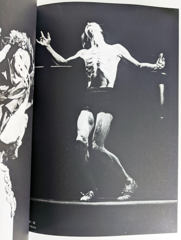 The Butoh - Image 3