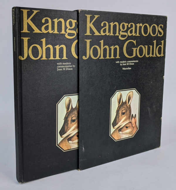 Kangaroos