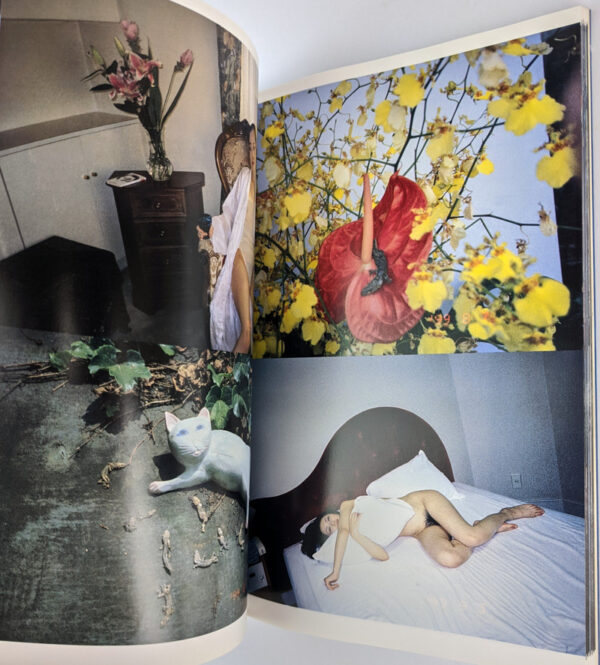 Private Diary, 1999: The Works of Nobuyoshi Araki 9 - Image 6