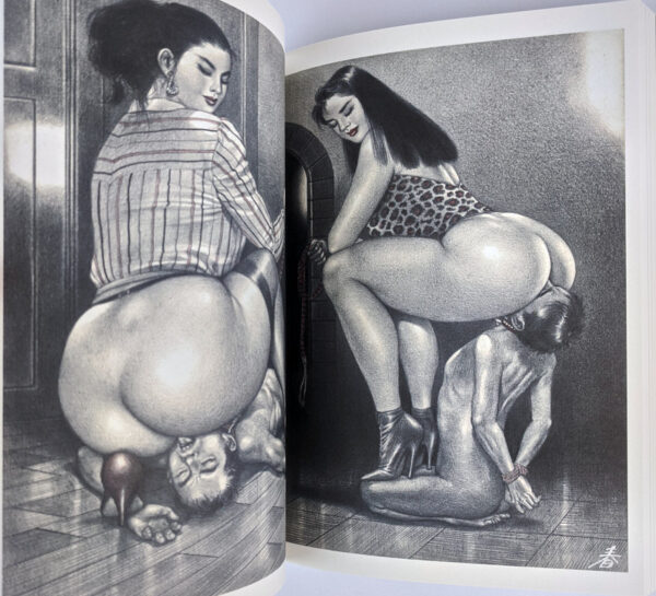 Namio Harukawa: Facesittings are Forever - Image 3
