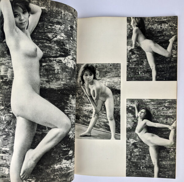 Atelier 60 - Image 5