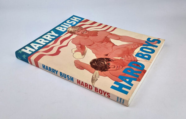 Hard Boys - Image 2
