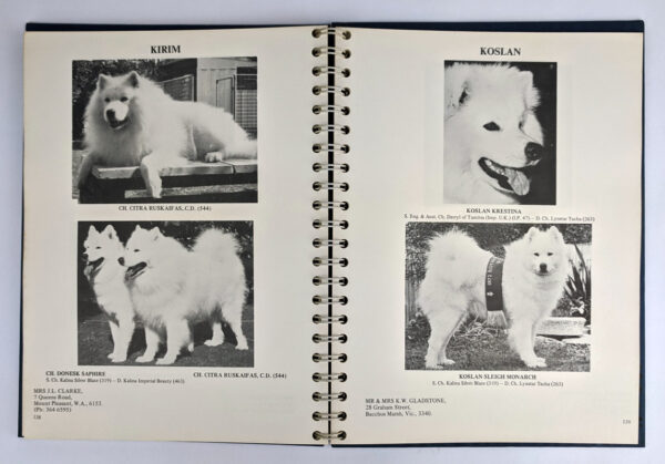 Samoyed Champions of Australia Pedigree Book - Image 2