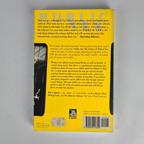 Public Sex: The Culture of Radical Sex - Image 2