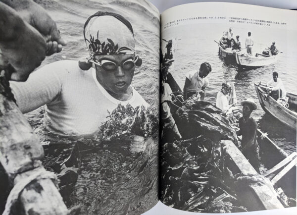 Ama (The Women Sea Divers in Japan) - Image 4