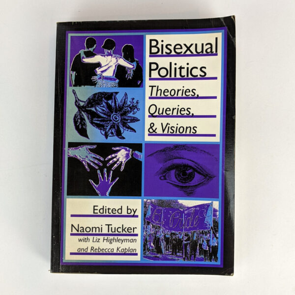 Bisexual Politics: Theories, Queries & Visions