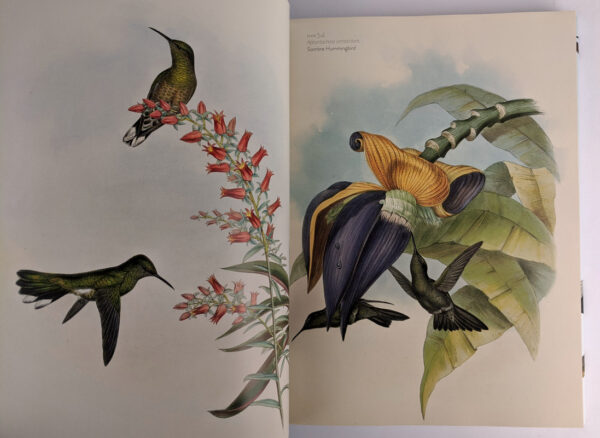 The Family of Hummingbirds: The Complete Prints of John Gould - Image 2