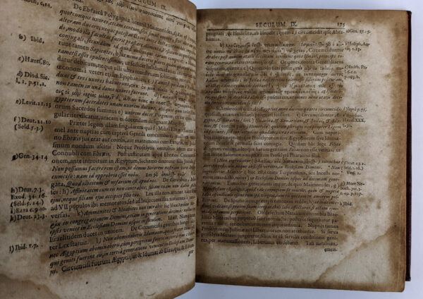 Angli, Eqvitis Aurati, Canon Chronicus Aegyptiacus, Ebraicus, Graecus, & Disquisitiones - Image 4