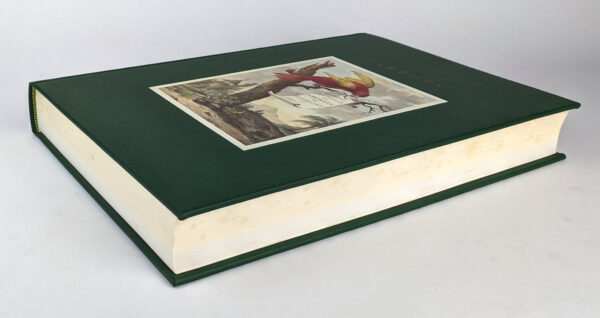 Natural History of Parrots (Histoire Naturelle des Perroquets) - Image 2