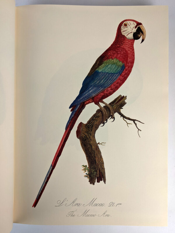 Natural History of Parrots (Histoire Naturelle des Perroquets) - Image 5