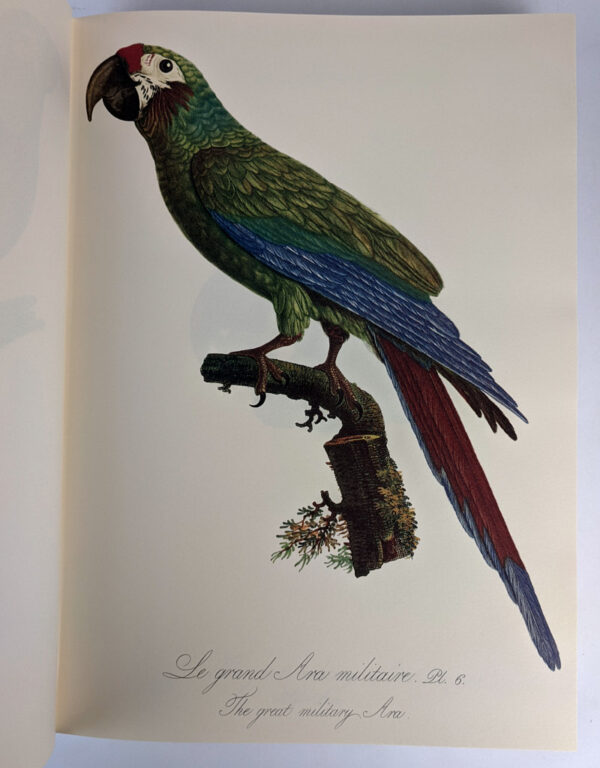 Natural History of Parrots (Histoire Naturelle des Perroquets) - Image 6