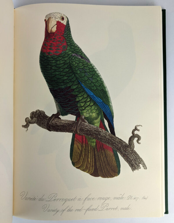 Natural History of Parrots (Histoire Naturelle des Perroquets) - Image 8
