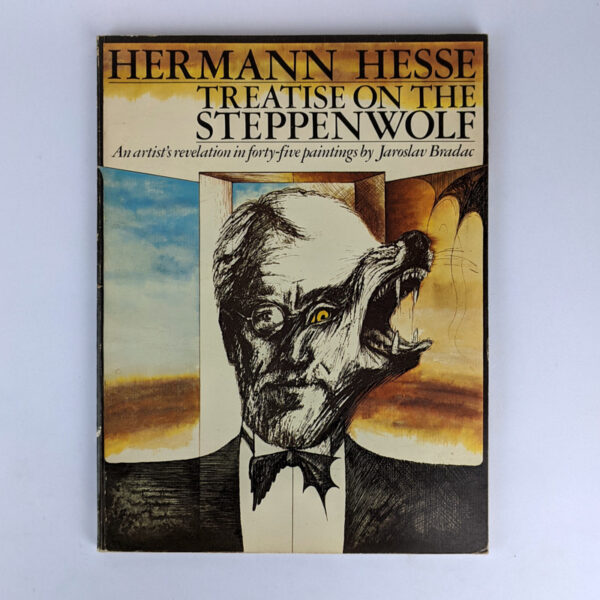 Treatise on the Steppenwolf: An artist's revelation in forty-five paintings