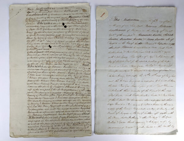 Lot of Legal Documents Concerning Lands of English Women - Image 5