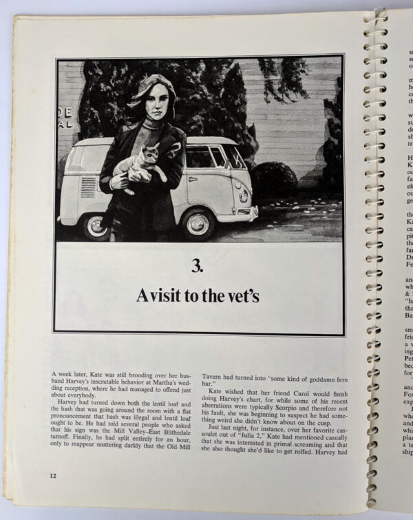 The Serial: A Year in the Life of Marin County - Image 3