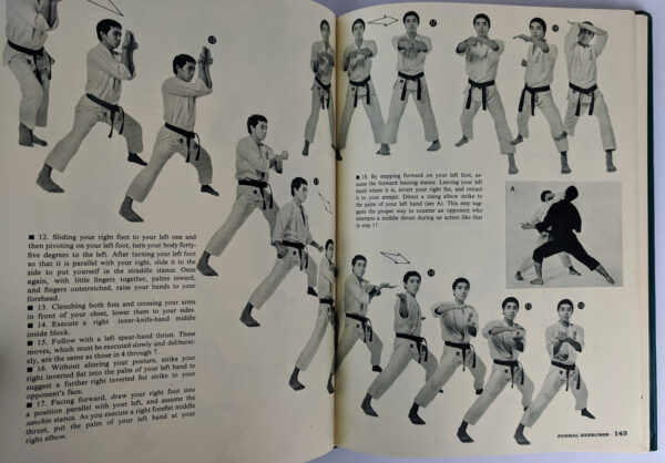 Advanced Karate - Image 2