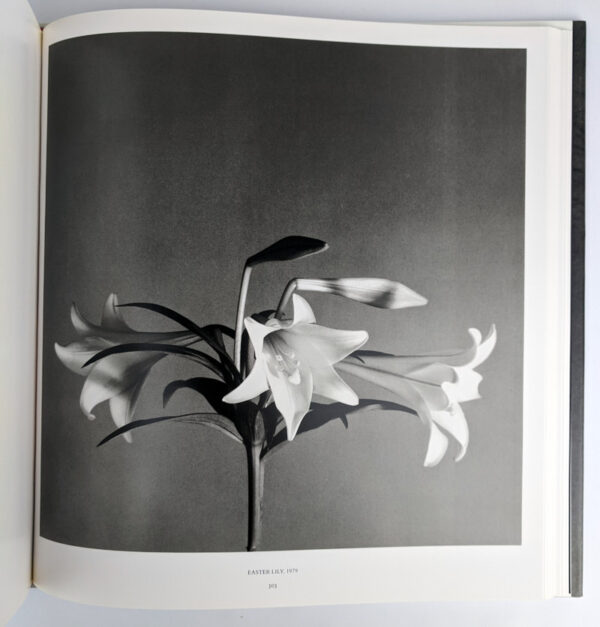 Mapplethorpe - Image 5