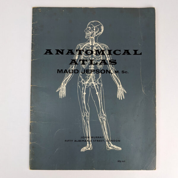 Anatomical Atlas