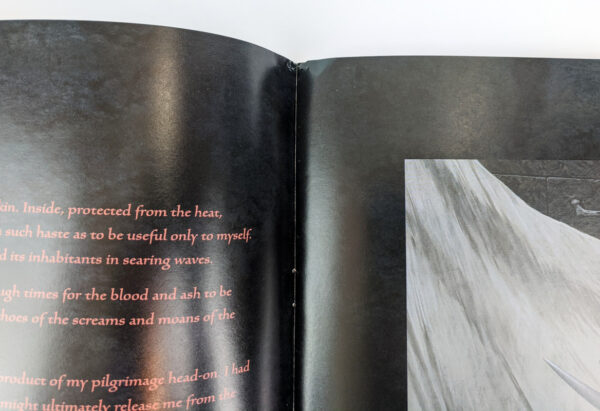 Brushfire: Illuminations from the Inferno - Image 3