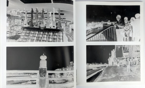 The Araki Effect - Image 3