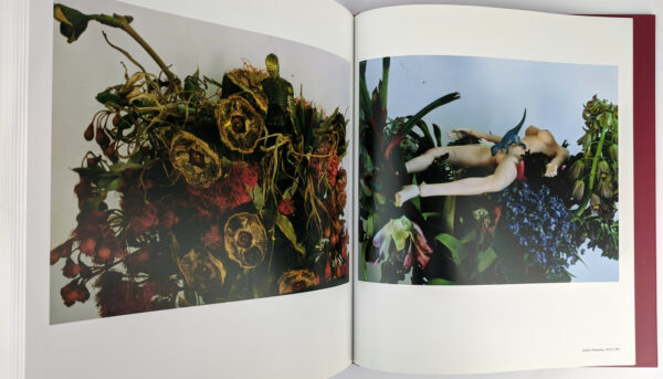 The Araki Effect - Image 5