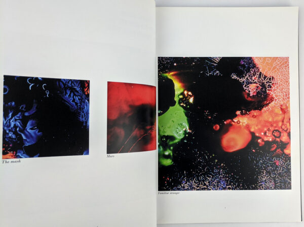 Psychedelika: The art of Joel Brown - Image 4