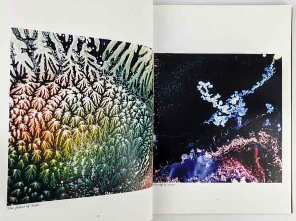 Psychedelika: The art of Joel Brown - Image 5