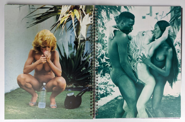 Madonna: Sex - Image 5