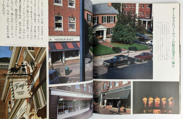 The Ivy - Image 5
