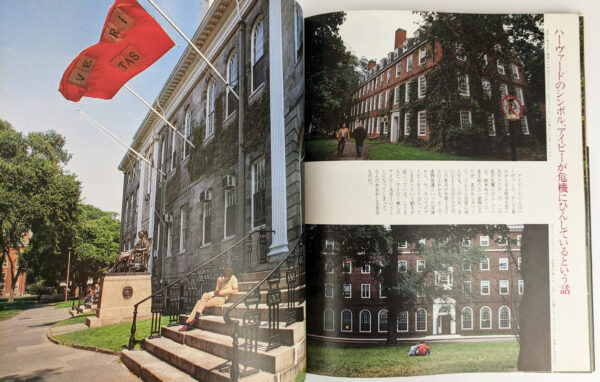 The Ivy - Image 6