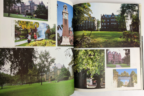 The Ivy - Image 7