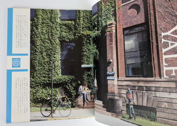 The Ivy - Image 4