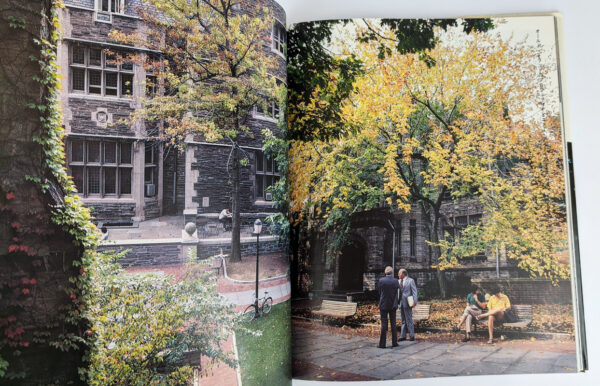 The Ivy - Image 7