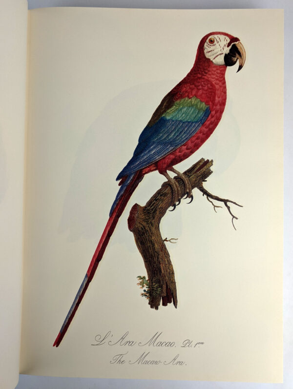 Natural History of Parrots (Histoire Naturelle des Perroquets) - Image 4