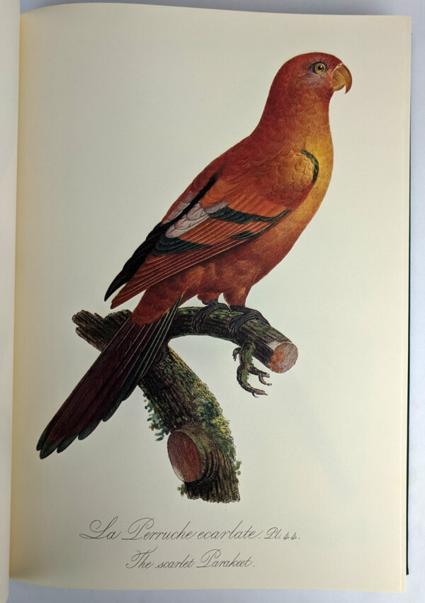 Natural History of Parrots (Histoire Naturelle des Perroquets) - Image 6