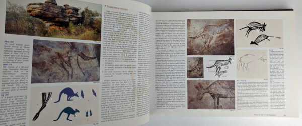 Bradshaw Art of the Kimberley - Image 3