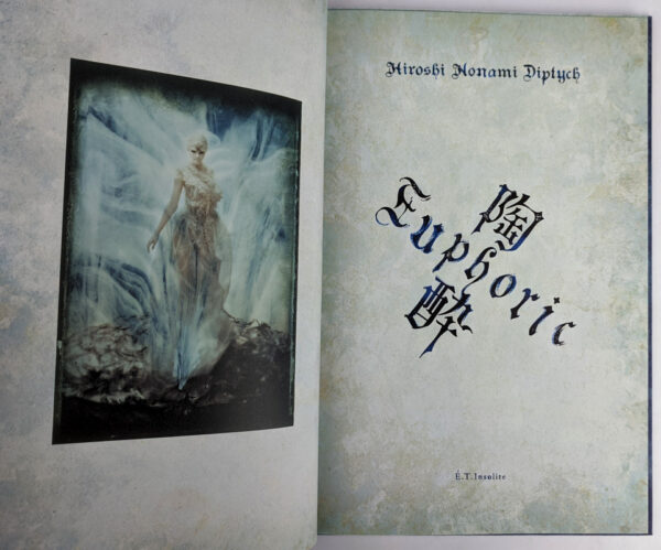 Hiroshi Nonami Diptych: Euphoric - Image 2