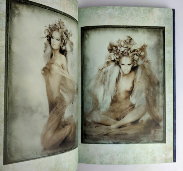 Hiroshi Nonami Diptych: Euphoric - Image 4