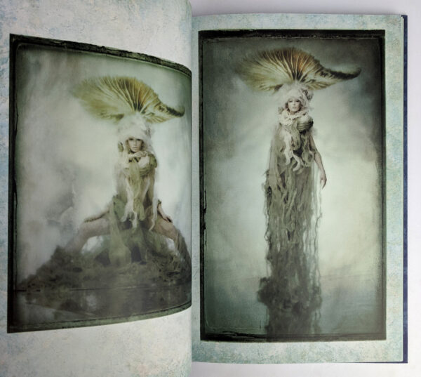 Hiroshi Nonami Diptych: Euphoric - Image 5